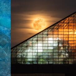 Biocymatic Frequency I (General Bioacoustics & Astro-Bioacoustics): Science + Art Reintegration & Advanced Artist Residencies for Voyages: Chapter I featuring Shodekeh @ The National Aquarium, 2022.