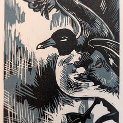 Gull