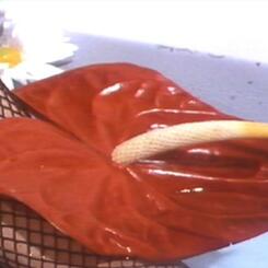 a still frame from The Match That Started My Fire