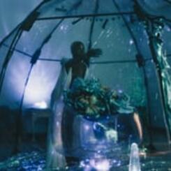 Womb Rebirth (Video) moments captured during endurance performance & installation