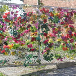 When the People Came