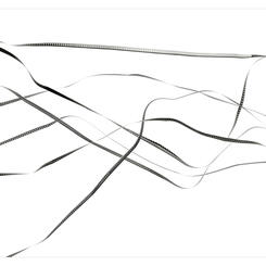 Discards 2 (The National Archives, College Park, MD)