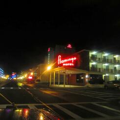 flamingo hotel