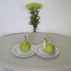 06_braslavsky_stilllifepears.jpg