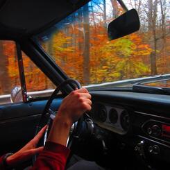 sunday drive, passenger seat view