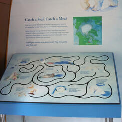 Polar Bear Interactive