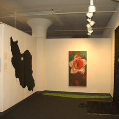 Stop Executions in Iran