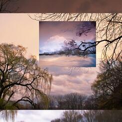 Riverside Landscape #51