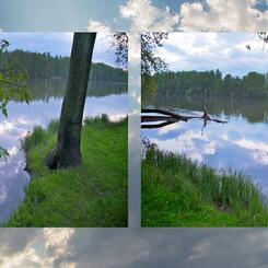 Riverside Landscape #1 