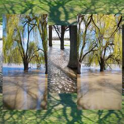 Riverside Landscape #5 