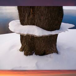 Riverside Landscape #7 