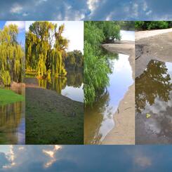 Riverside Landscape #12 