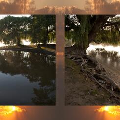 Riverside Landscape #6 