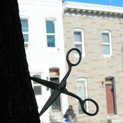 tree scissors 