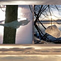 Riverside Landscape #13 