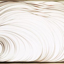 Discard 3 (Enoch Pratt Library, Baltimore, MD)