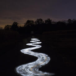 Luminescent Anthologies 5