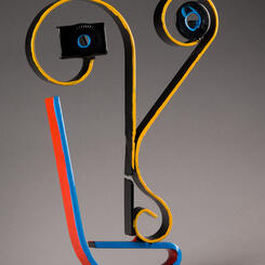 Primary Concern (face/hands/legs) 2