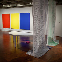 I am Iran I am America