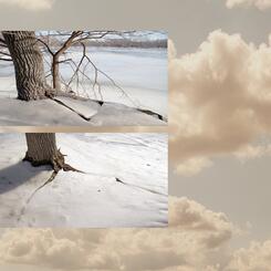 Riverside Landscape #15