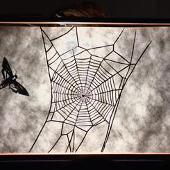 Spider web