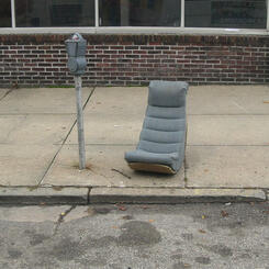 gray buddies waiting