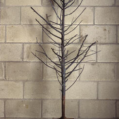 Still Digging Our Own Graves #5