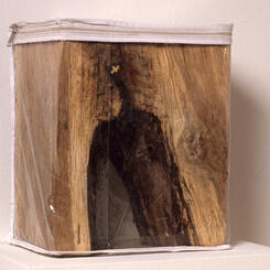 Suffocating The Future