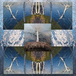 Lake Roland, Landscape #0