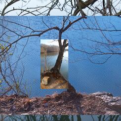 Lake Roland, Landscape #1 