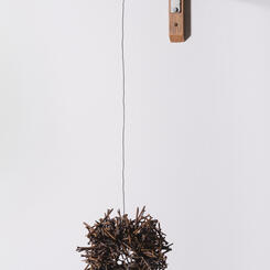 Gravity Does Not Discriminate