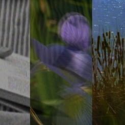 a still frame from Immortal Cupboard