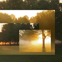 Riverside Landscape #37