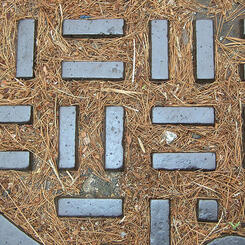 pine needles in a sewer manhole
