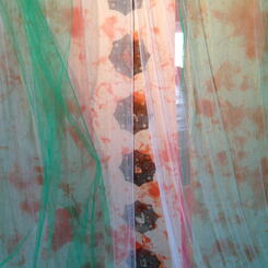 Detail: One Million Signituare Campaign