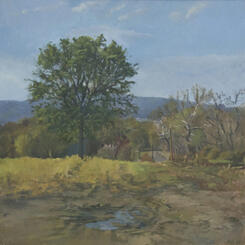 Foxcroft and St Louis