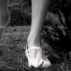 a still frame from Immortal Cupboard