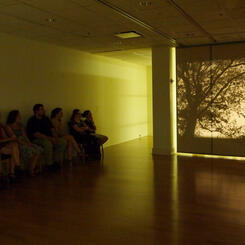 Futures Transcended, UMD