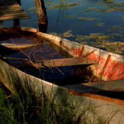 a still frame from Immortal Cupboard