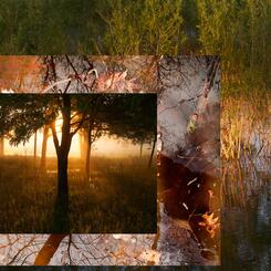 Riverside Landscape #36