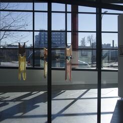 Gallery CA installation view 