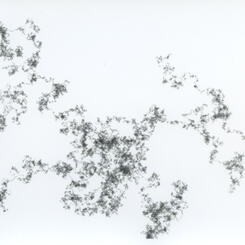 (untitled, 7/28/15) #22