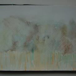 Marshland; Columbia, MD