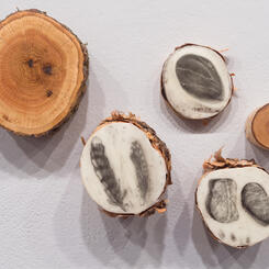 Wetlands / Graphite Wax Logs 