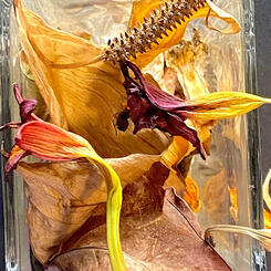 hanging flowers in a steel world