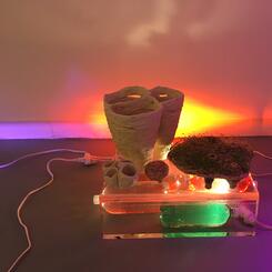 installation, garden, water, ceramics, light