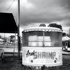 Shrimp Shack, Chincoteague, VA