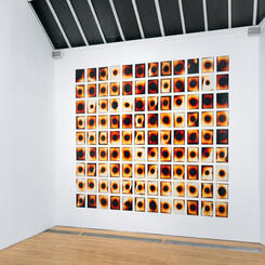 Sungazing Print: Apexart 2020