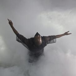 Flight- Vincent E Thomas photo