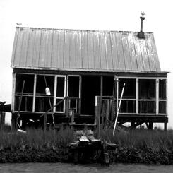 Waterman's Shack, Wachapreague, VA